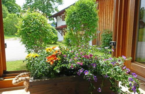 Ferienwohnung Murmeltier - Foto 18