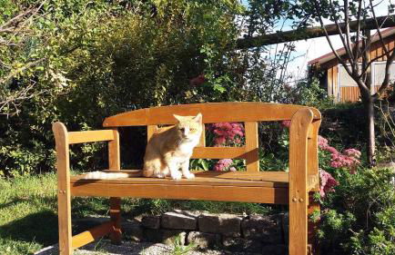 Bauernhaus Markus Köpf - Foto 26