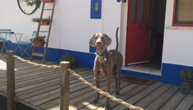 Casa Do Mestre Lau - Foto 5