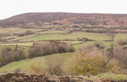 Orchard Cottage - Photo 31