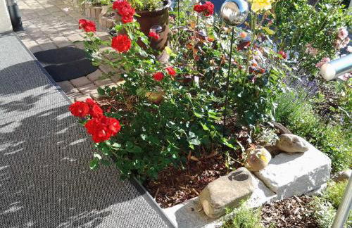 Ferienwohnung Ehret - Foto 13