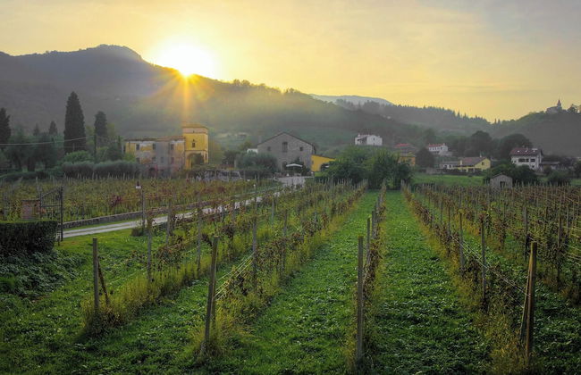 "ecosuite Aria Villa Margherita Crespino" - Foto 18