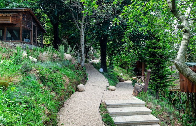 Nuba Istanbul - Foto 48