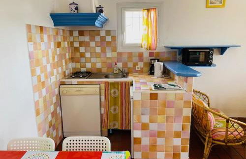 Location climatisée, piscine, animaux acceptés, jardin clôturé, parking, provence , wifi - Foto 13