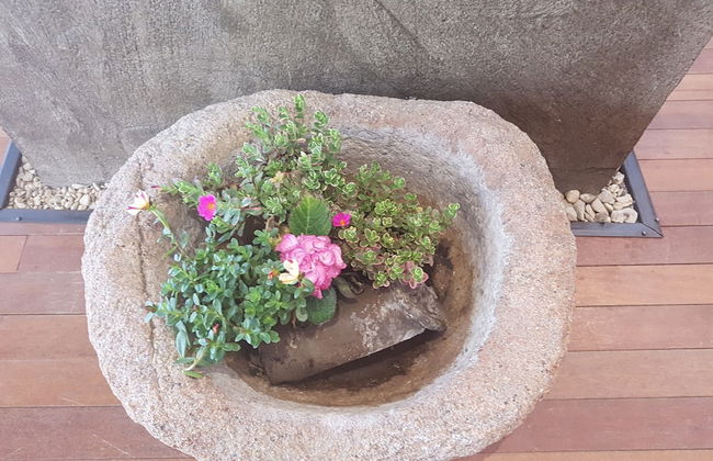 Tongyeong Iris Pension - Foto 58