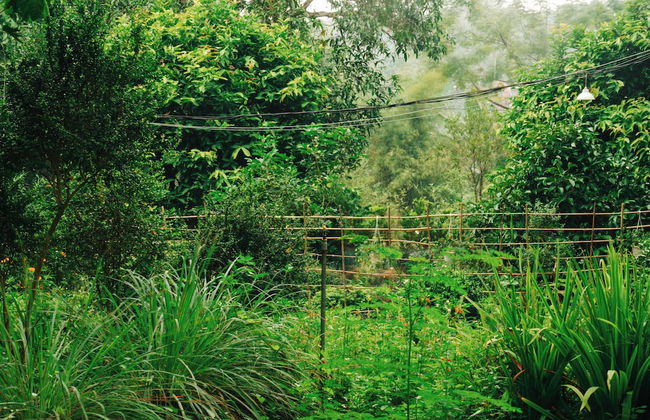 Suoi Rao Ecolodge - Foto 22