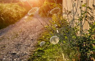 Hof Spittelsberg - Photo 46