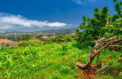 Os Ferreirinhos, a Home in Madeira - Foto 101