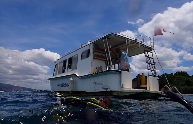 yohan bi-chi and daibu rizo-to - Photo 15