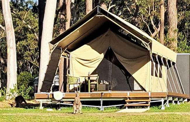 Bay and Bush, Jervis Bay - Photo 11