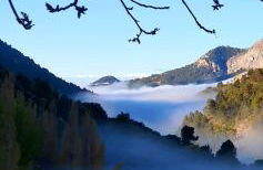 Saluda Alta - Foto 24