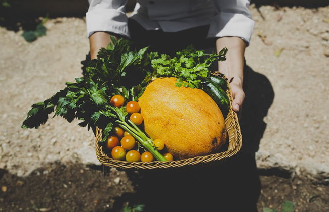 Latchi Escape Hotel & Suites - Foto 39