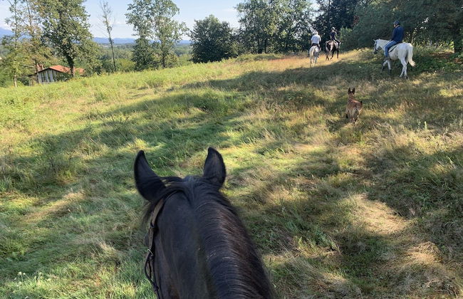 Remarkable 6 Bedrooms Villapiemonte With Land - Foto 36