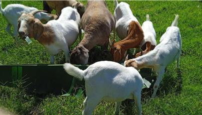 Hospedagem Zilz - Foto 5