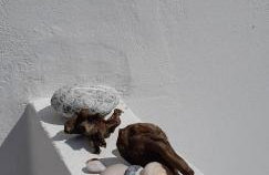 Kyfanta, studios & apartments in Kyparissi - Photo 23