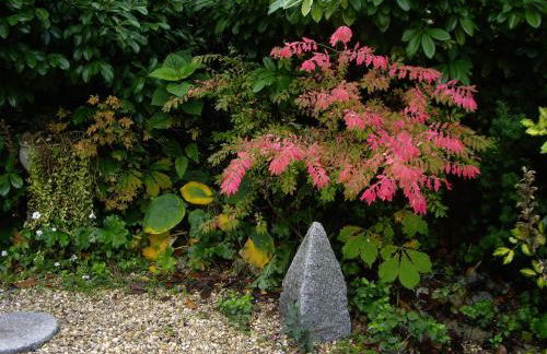 La Casita con piscina privada de tres dormitorios - Photo 42