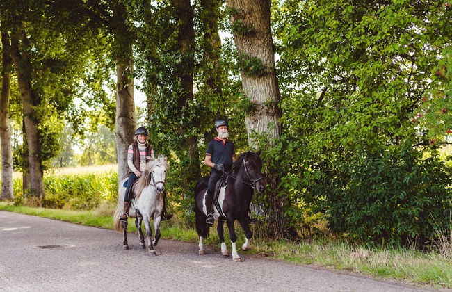 Well Furnished Mobile Home with Microwave near Water - Photo 41