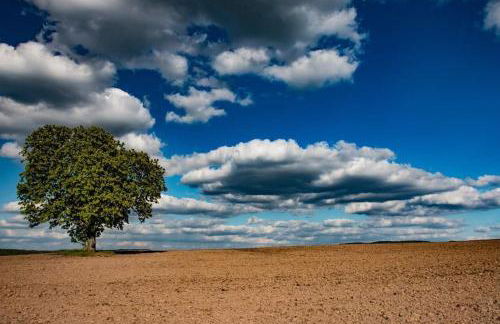 Bungalow Schwarzatalblick in Bad Blankenburg Ortsteil Böhlscheiben - Foto 40