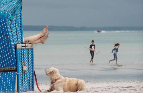 Reihenhaus im Ostseeresort Dampland - Foto 76