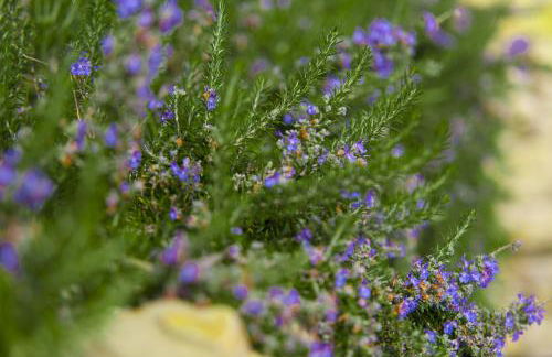 Borgo di Vezzano - Foto 17