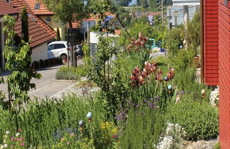 Ferienwohnung Sonnenhalde - Foto 11