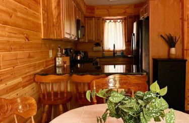 Poconos Cabin Near Skiing - Foto 16