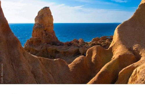 Casa Farol View - Foto 42