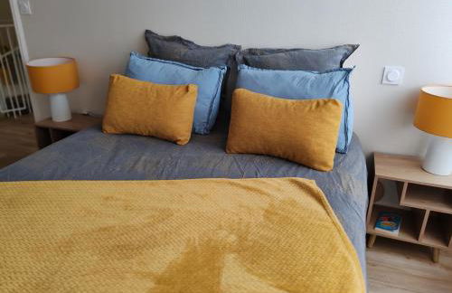 Le cosy duplex centre - Foto 17