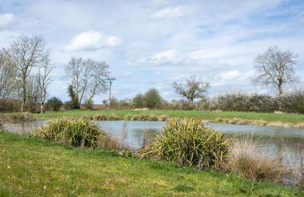 Willow Cottage - Foto 8