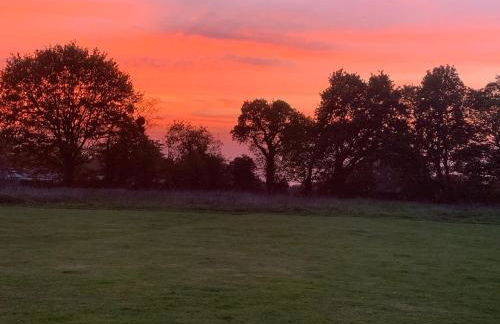 Grande maison normande de 250 m2 1ha - aperçu mer - Photo 41