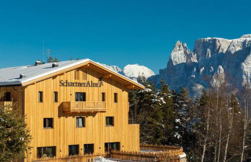 SchartnerAlm - Foto 21