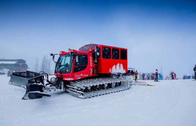 2BR/2BA Condo on Shuttle Route - Wild Irishman 1015 - Pool & more! - Foto 16