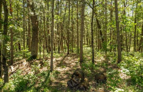 Dog-friendly 6-acre 5BR 3BA home, game room, deck, Wisconsin Dells 10min - Foto 47