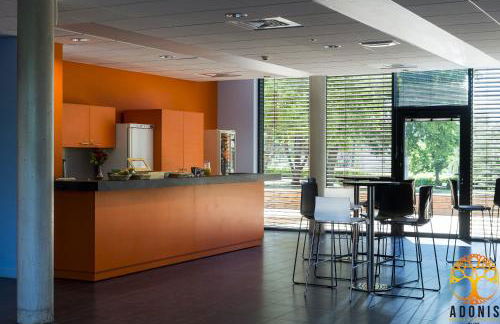 Adonis Dijon Maison Internationale - Foto 21