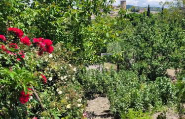 Comfort, parcheggio e vista su Tricarico in Basilicata, Io Sono Qui - Foto 55