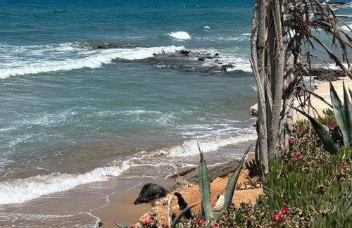 Anastasia Suite Of The Sun&Sea - Foto 24