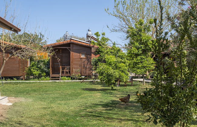 La Maison Hotel Çıralı - Foto 20