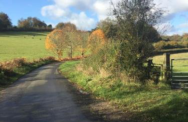 Little studio annexe - Foto 14