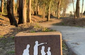 Forest Terrace Praia de Mira - Foto 68