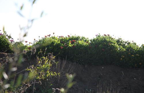 The Dragonfly Retreat - Photo 72