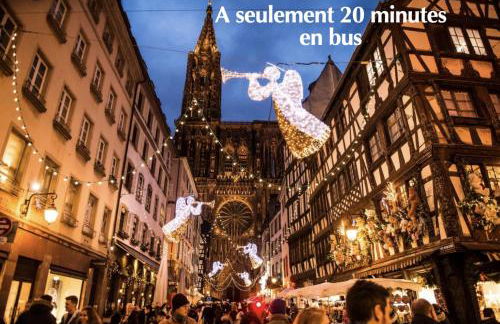 Appartement Rooftop - 5 min Centre ville Strasbourg - Foto 13