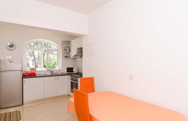 Plavac Mali - Photo 12