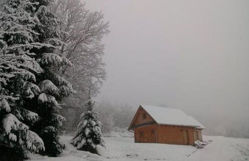 Domki Pod Dębem - Foto 18