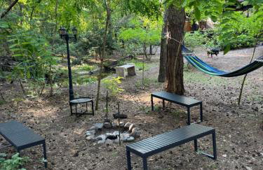 Leśna Chata Arciechów - Foto 22