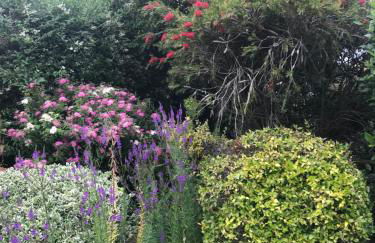 Top of the House - Photo 7