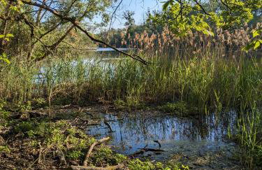 Badischer Neubau-Ruhe-Kunst-Natur - Foto 63