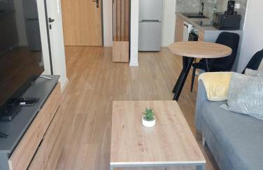Apartament Diament 2 - Jezioro Nyskie - Foto 46