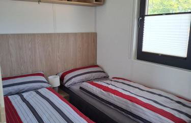 Mobilheim Bumblebee im Allgäu - Foto 6