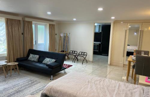 Studio flat Gants Hill with Free Parking - Foto 4