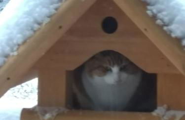 Heidehof Hellenthal - Foto 54